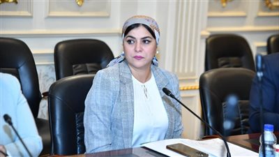 برلمانية: نحتاج بكل الطرق لدعم الثقافة الصناعية وتشجيع المنتج المحلي