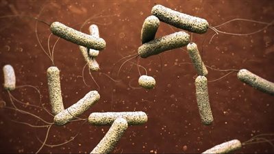 الكويت تسجل أول حالة إصابة بمرض 