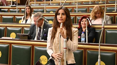 برلمانية: ملف حقوق الإنسان في مصر شهد طفرة كبيرة خلال السنوات الأخيرة