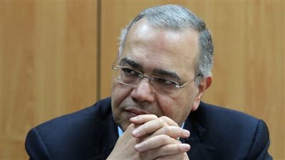 المصريين الأحرار ينسق مع ممثليه بالخارج لدعم الرئيس في الانتخابات الرئاسية (فيديو)