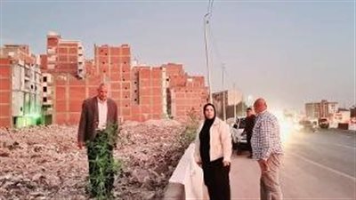 زراعة الأشجار علي الطرق العامة والميادين والشوارع بالدقهلية