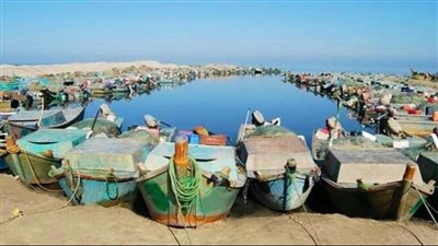 مدير عام بحيرة البردويل: جودة منتجاتنا عالمية (فيديو)