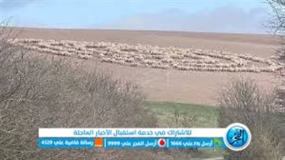 هل دوران الحيوانات حول نفسها من علامات الساعة الكبرى أم ظاهرة؟