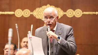 اقتراح برغبة للتوسع في إنشاء المناطق الحرة لجذب الاستثمار