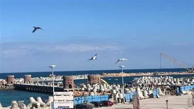 بعد حديث السيسي عنها.. كل ما تريد معرفته عن مشروعات حماية شواطئ الدلتا