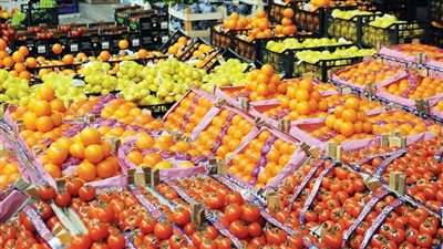 الزراعة: نصدر 350 منتج مصري إلى 150 دولة حول العالم (فيديو)