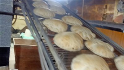  إحالة 39 محضرا بالمخالفات في مجال المخابز والأسواق بالدقهلية للنيابة