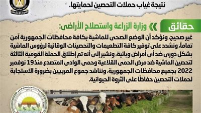 الحكومة ترد على خبر انتشار مرض الحمى القلاعية بين الماشية