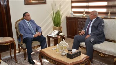 وزير التنمية المحلية يتابع مع محافظ الوادى الجديد مشروعات 