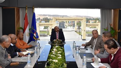 تفاصيل لقاء محافظ أسوان بوفد لجنة دار الهندسة بمجلس الوزراء