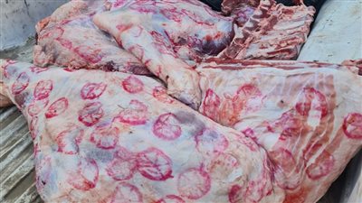 ضبط 120 كيلو لحوم بلدية مذبوحة خارج المجازر وغير صالحة للاستهلاك الآدمي بالمنوفية