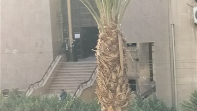 عاجل.. الحكم بالمؤبد على 5 من قتلة صاحب شركة بالمنوفية