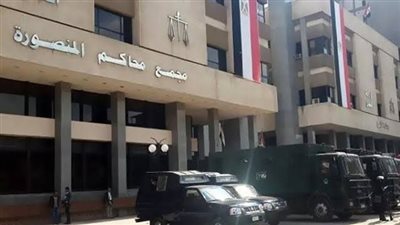 تأجيل محاكمة سيدة وعشيقها بتهمة قتل الزوج في الدقهلية