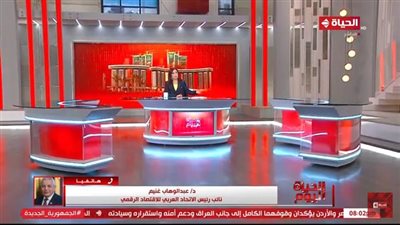 الاتحاد العربي للاقتصاد الرقمي: صرف 100 مليار جنيه لتحسين البنية التحتية الإلكترونية (فيديو) 