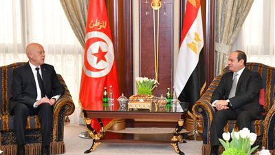 أبرز ما جاء في لقاء الرئيس السيسي مع نظيره التونسي