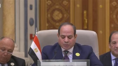 عاجل.. السيسي: أزمة الغذاء تدفعنا لتوثيق الشراكة العربية الصينية