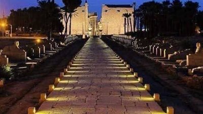 عز الأسطول: مشاركتي في افتتاح طريق الكباش نقطة تحول في مسيرتي الفنية