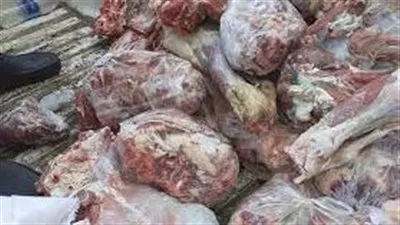 العثور على 15 طن لحوم فاسدة داخل ثلاجة بالجيزة