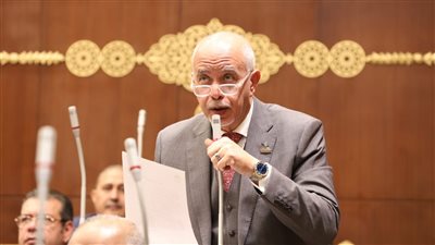 نائب: القمة العربية الصينية محورية وكلمة الرئيس السيسى كاشفة