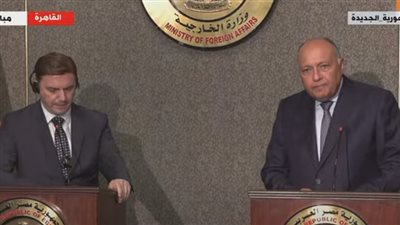 وزير الخارجية عن القمة الصينية: توجه مصر متسق مع باقي الأشقاء العرب