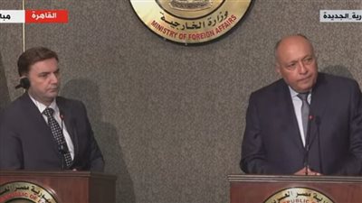 وزير الخارجية: لم تخرج أي سفينة للهجرة غير الشرعية من السواحل المصرية منذ 2016