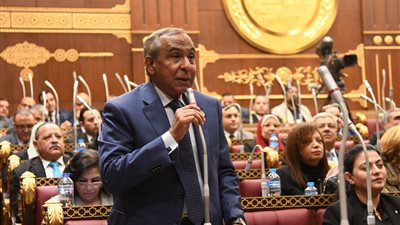 برلماني يطالب 