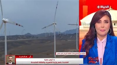 متحدث الكهرباء يكشف تفاصيل إنشاء أكبر مزرعة رياح في العالم