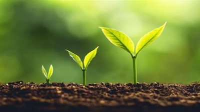 “الكهرباء”: وقعنا 4 مذكرات تفاهم لإنتاج 28 ألف ميجاوات من طاقة الرياح