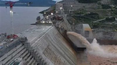  عاجل.. متحدث الخارجية يكشف آخر تطورات أزمة سد النهضة 