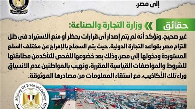 تعرف على حقيقة إصدار قرار بحظر دخول بعض واردات السلع إلى مصر