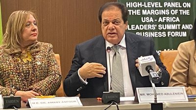 من واشنطن| أبو العينين أمام قادة الولايات المتحدة وإفريقيا: مبادرات السيسي ستحدث نقله استثمارية وحضارية لـ القارة السمراء