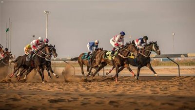 ميدان الملك سعود للفروسية يقيم حفل سباقه الثاني عشر