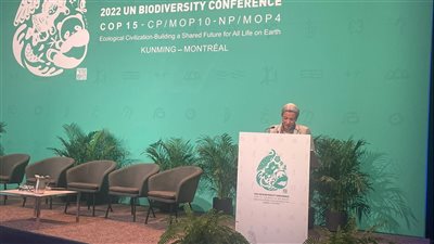 فؤاد: وكالات الأمم المتحدة لها دور قوي في دعم الدول النامية