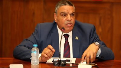 برلماني: رؤية مصر بشأن الأمن الغذائي رسخت لحق شعوب القارة السمراء في الحياة الآمنة