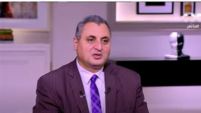 مدير معهد بحوث الاقتصاد الزراعي: مخزون مصر من السلع يكفيها 6 أشهر 