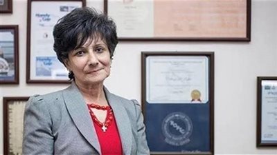 برلمانية: دعم القيادة السياسية لقناة السويس أحدث طفرة بها