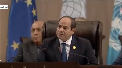 السيسي يوضح أهم متطلبات تحقيق الاستقرار الكامل للدول (فيديو)