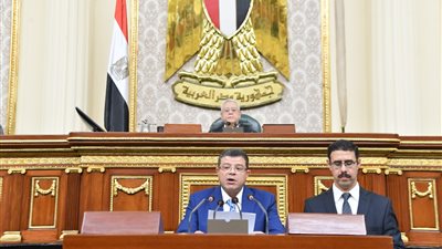 رئيس اقتصادية النواب: قناة السويس مرفق مملوك للدولة وحماية أصوله مكفولة بالدستور