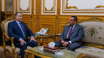 وزيرا الإنتاج الحربي والتنمية المحلية يتابعان الموقف التنفيذي لمشروعات البنية الأساسية لمنظومة المخلفات