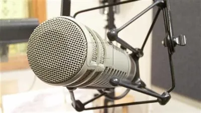 عاجل.. الإذاعة تقرر وقف الشيخ محمد السلكاوي لمدة عام