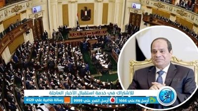 نواب: مؤتمر بغداد يفتح آفاقًا جديدة للتعاون ويعكس دعم مصر للاستقرار بالمنطقة