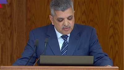 أسامة ربيع: لا يمكن لأي مستثمر أجنبي أن يفرض سيطرته على قناة السويس