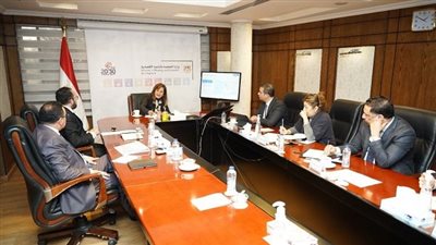 وزيرة التخطيط ورئيس مجلس صندوق مصر السيادي تبحث سبل التعاون مع شركة ضفائر كهربائية للسيارات