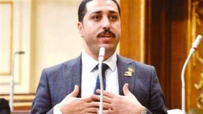 برلماني: الشعب يقف بالمرصاد لكل من تسول له نفسه العبث باستقرار مصر