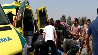 ننشر أسماء المصابين في انقلاب ميكروباص على الطريق الإقليمي بالمنوفية