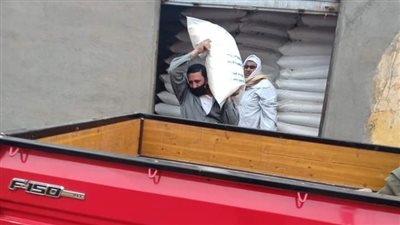 زراعة المنوفية: إعدام أسمدة مجهولة المصدر.. وتوزيع أكثر 14 ألف طن