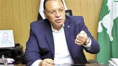 منها سلع بأسعار مناسبة وغرف عمليات.. أبرز استعدادات الشرقية لعيد الميلاد 