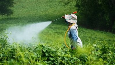 حقيقة تداول مبيدات زراعية تصيب المحاصيل بالتسمم (فيديو)