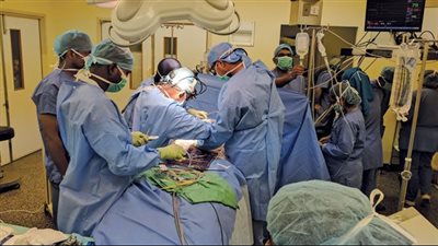 رئيس جامعة المنصورة: إجراء 100 عملية زراعة كبد في العام (فيديو)