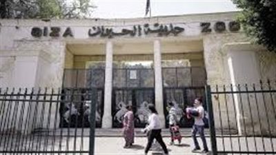 الحقيقة الكاملة حول إغلاق حديقة الحيوان